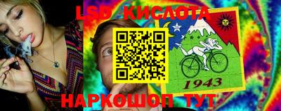 винт Новодвинск