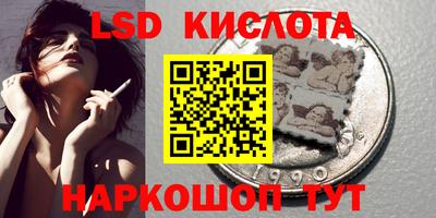 винт Новодвинск