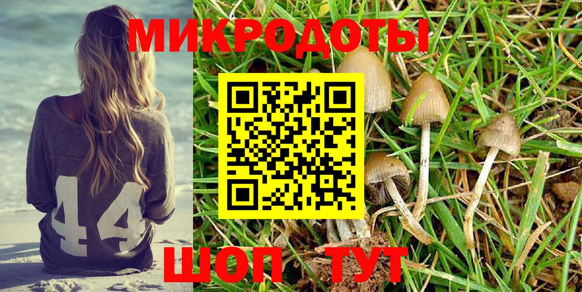 Алексеевка  хочу наркоту  Вход с VPN  Галлюциногенные грибы MAGIC MUSHROOMS 