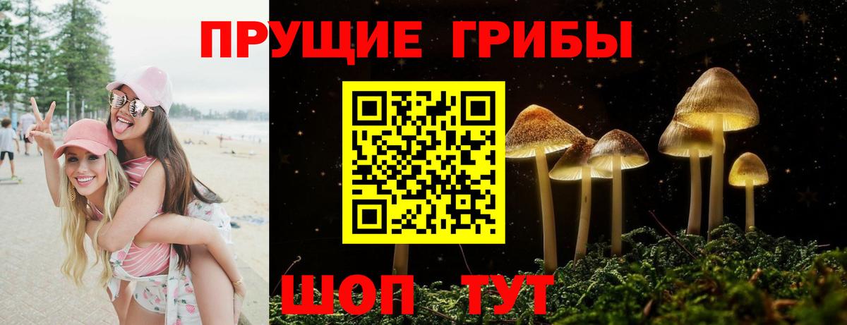 Галлюциногенные грибы мицелий Алексеевка